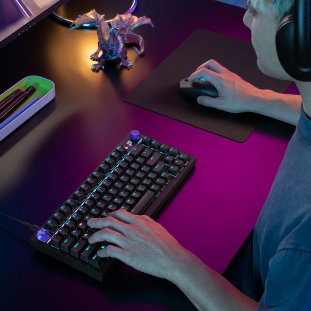 Gaming Mechanical keyboard Logitech G316 X 75 - Hot-Swappable Tactile Switch - Black 