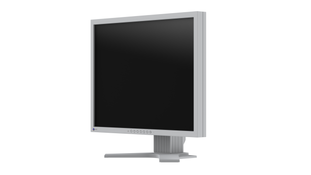 Medical Monitor EIZO RadiForce S2134-GR 