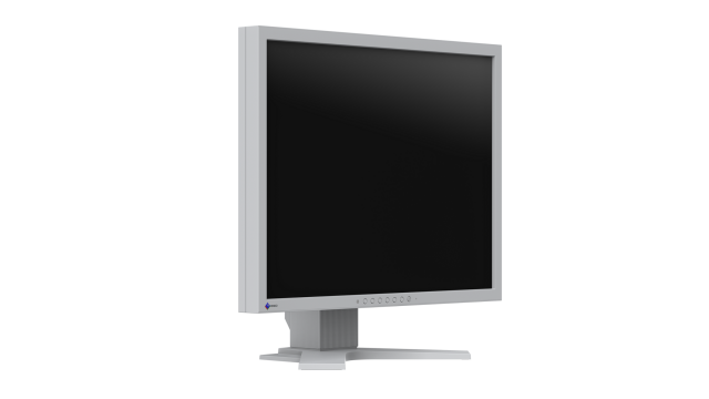 Medical Monitor EIZO RadiForce S2134-GR 