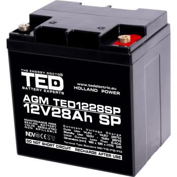 Lead Battery  AGM  12V / 26 Ah/28,5Ah  - 166 / 176 / 125mm терминал F13(M5) TED ELECTRIC