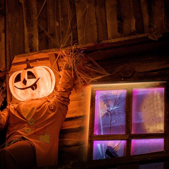 TP LINK TAPO-L920-5 LED strip, WiFi, 5m., 13.5W, RGB 